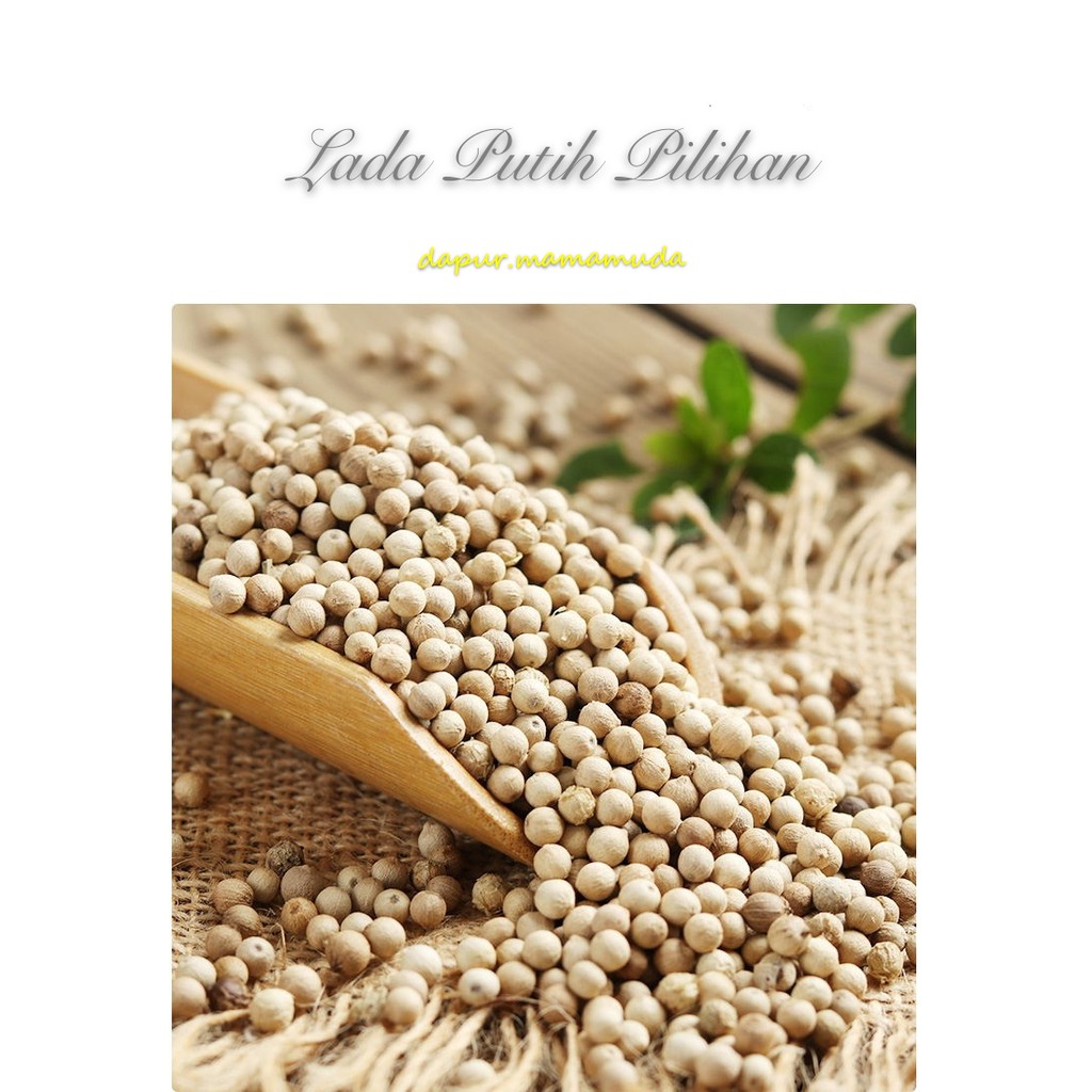 

Biji Lada Putih / Merica Putih / White Pepper Whole 50gram / Biji Lada Utuh