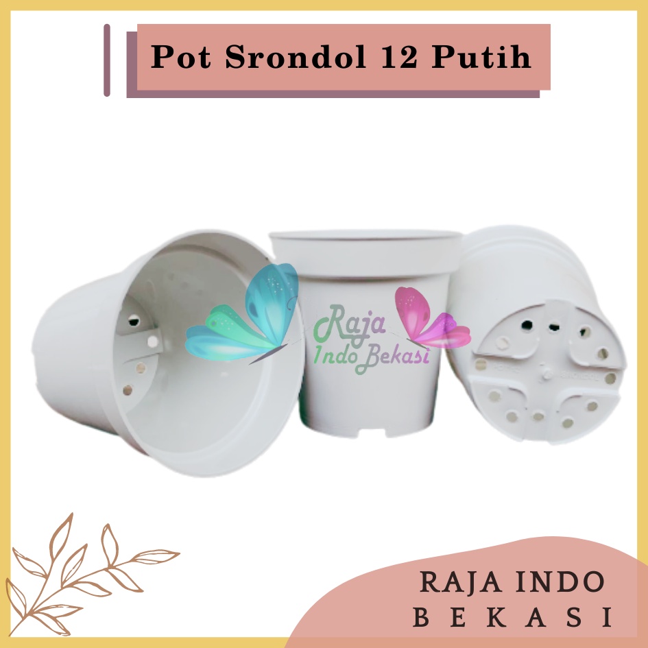 Pot Tinggi Srondol 12 PUTIH - Pot Tinggi Usa Eiffel Effiel 18 20 25 Lusinan Pot Tinggi Tirus 15 18 20 30 35 40 50 Cm Paket murah isi 1 lusin pot bunga plastik lusinan pot tanaman Pot Bibit Besar Mini Kecil Pot Srondol