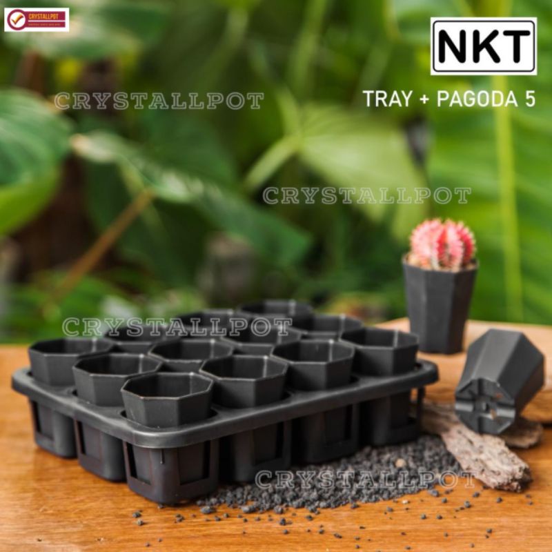 1 set Tray + POT BUNGA NKT PAGODA MINI 5CM HITAM | tray semai bibit