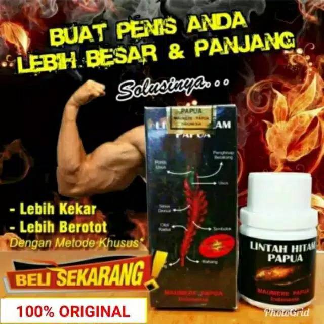 Minyak Oles pembesar Alami | Minyak Lintah Hitam Asli Papua Original