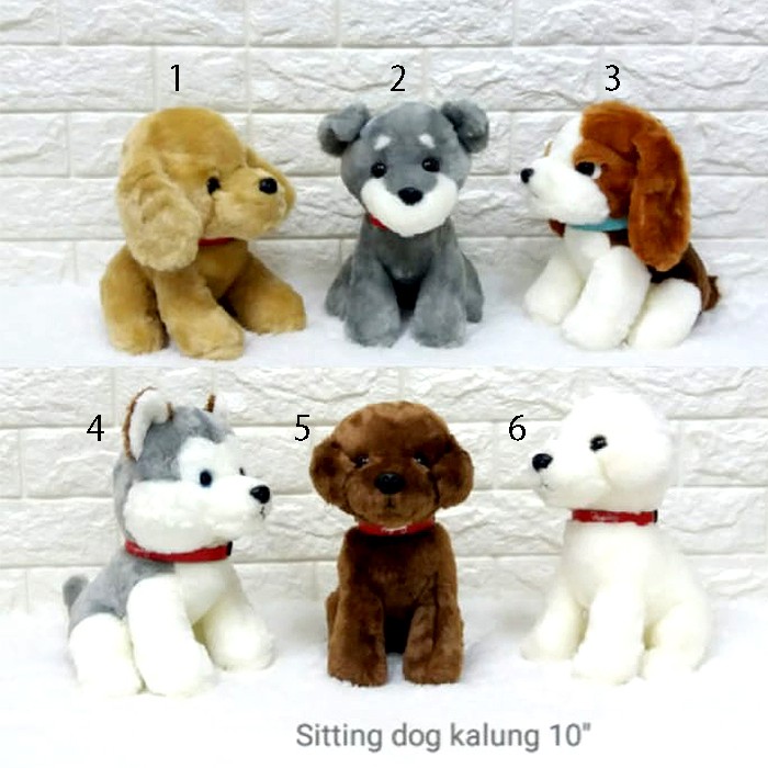 Boneka dog anjing assorted chi Hua hua animal 20cm dog souvenir