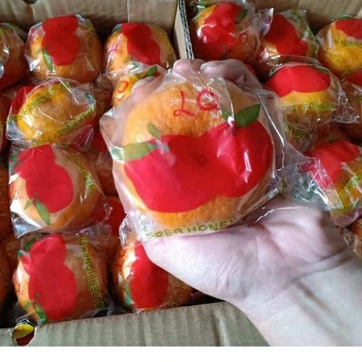 

Kalengbuah- Jeruk Honey Mandarin Ponkam Per Dus -Buah-Kaleng.