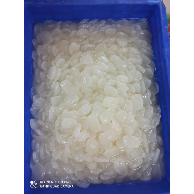 

Kolang kaling Fresh