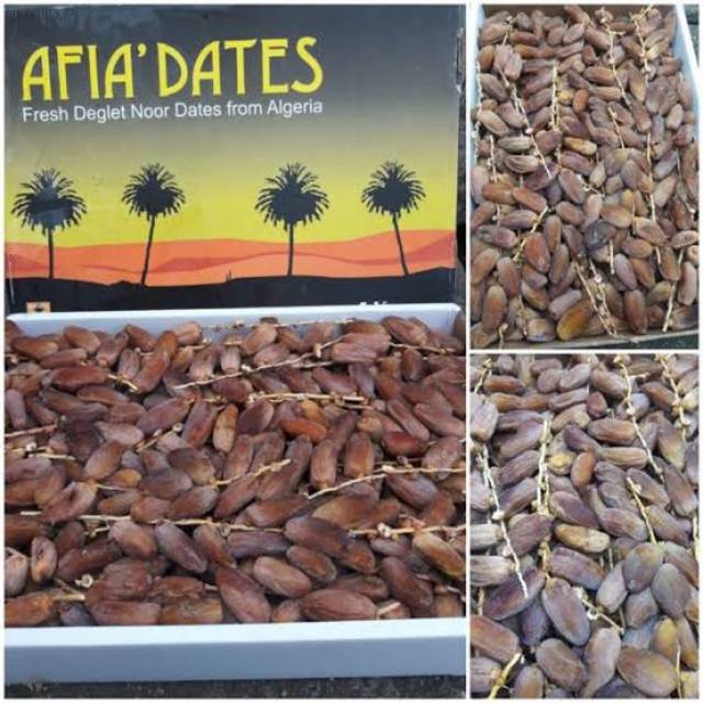 

Kurma Tangkai Tunis Afia Dates 5kg - Kurma Tunis Afia'Dates - Kurma Tangkai Tunis Algeria