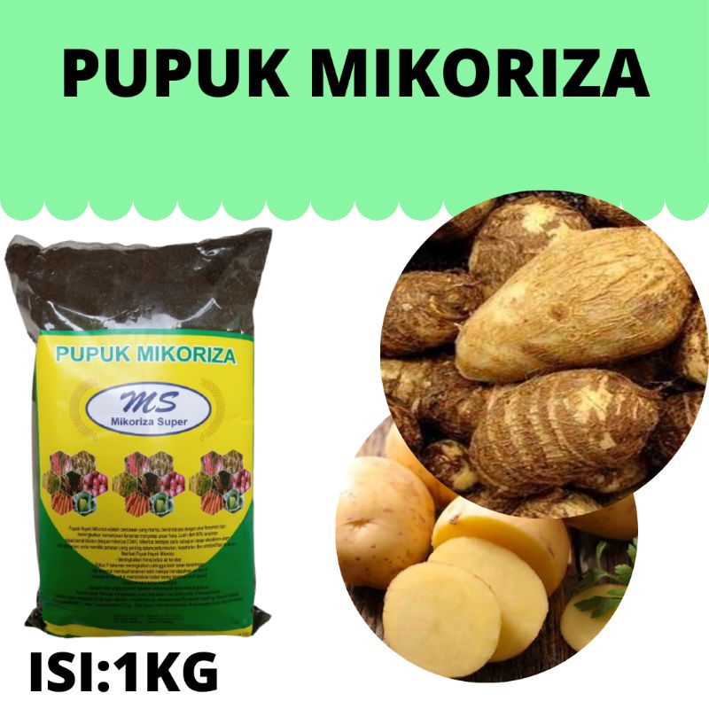Pupuk Mikoriza Untuk Penyumburan Tanah / Pupuk Terbaik Mikoriza Untuk Umbi - Umbian