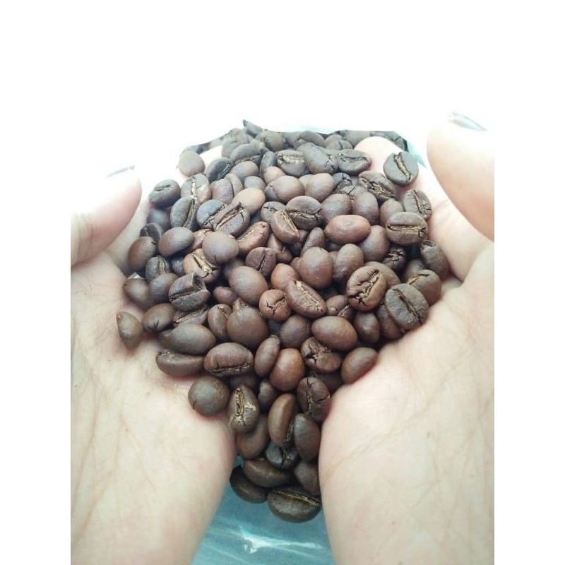 

Roastbean arabika kawi grade komersil