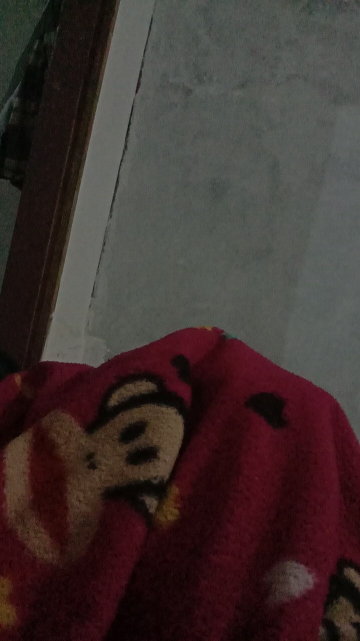 Bedcover Lady Rose Uk. King (180x200)cm Motif Kreatif Flamingo, Doraemon, Hello Kitty, Kerokeroppi