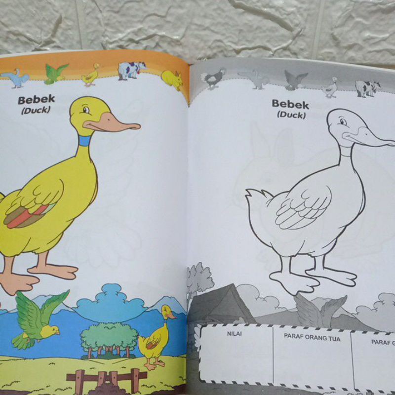 Buku Mewarnai Hewan Ternak Untuk Paud/Tk
