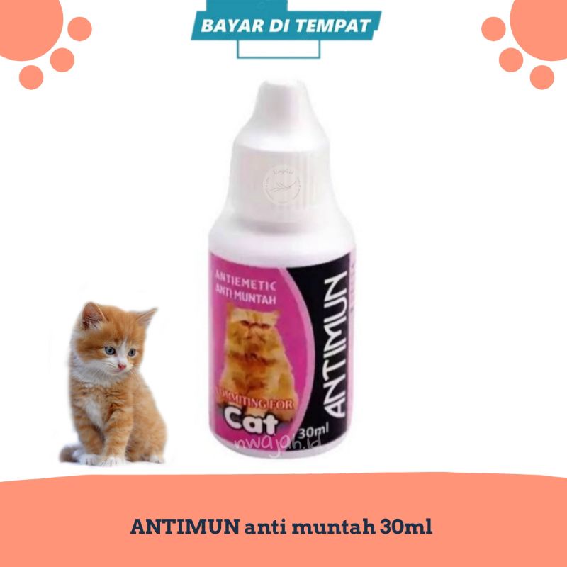 Obat Muntah Kucing Sakit Mual Stress Antimun Cat