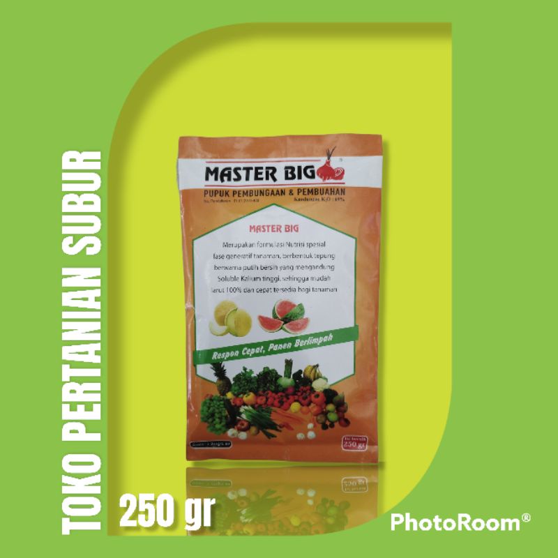 Master Big 250 Gr Pupuk Pembungaan Dan Pembuahan
