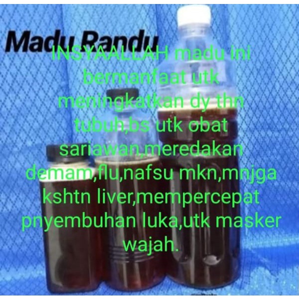 Madu Randu 100% Madu Asli
