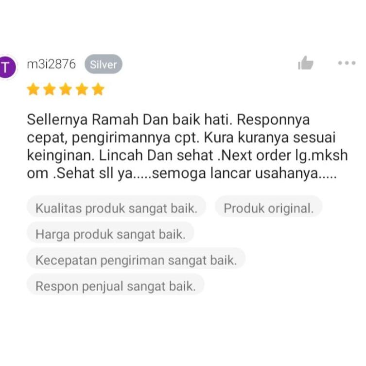 

EONN kura kura beby kecil sehat hiasan air eksotis ,hadiah buat anak [sc -321]