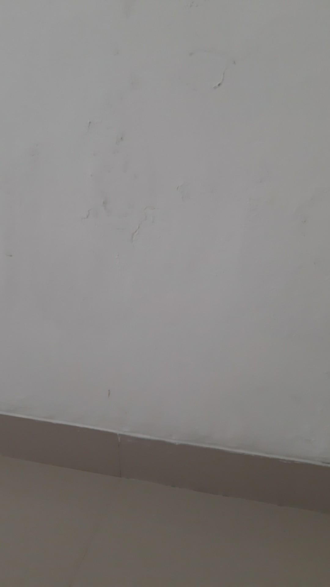 017 - Cetakan Pencetak Nasi Rice Bento Mold Telur Kelinci Rabbit Bunny