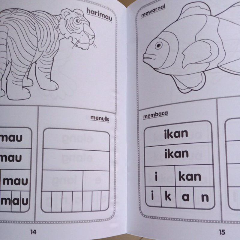 Buku Belajar Membaca Menulis Mewarnai Buku Aktivitas Paud dan Tk