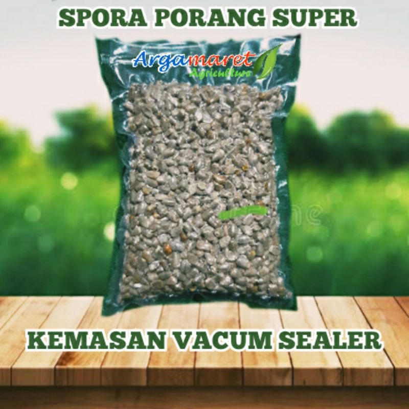 BIJI SPORA PORANG | BIJI BUNGA PORANG | BIBIT PORANG | BENIH PORANG