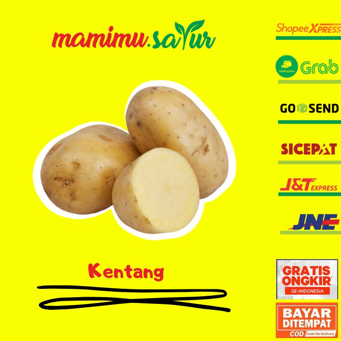 

KENTANG SUPER KENTANG DIENG GRADE AB KENTANG BESAR MURAH SAYUR SAYURAN SEGAR 1 KG