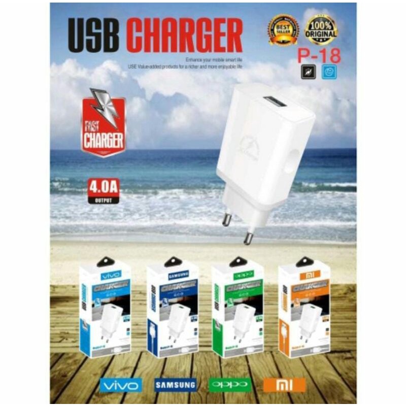 CHARGER USB P-18