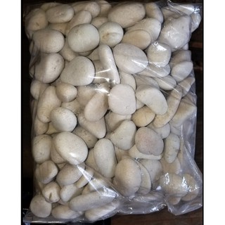 Batu Koral Putih Besar 2kg 6019