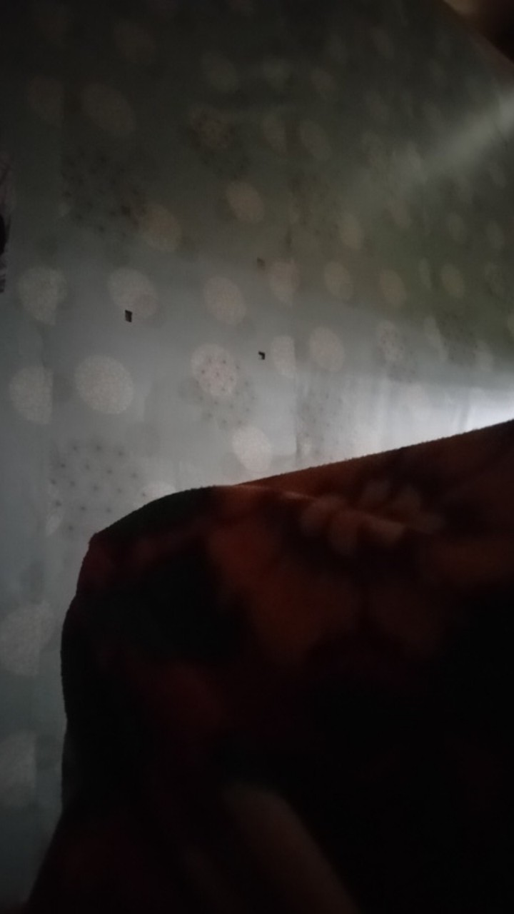 Kuas Masker & Kuas Silikon