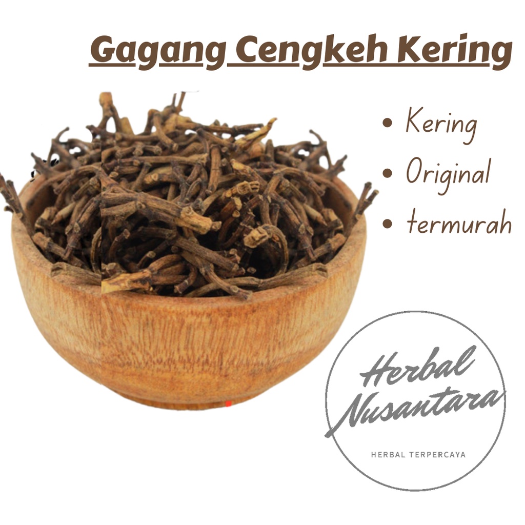 Jual Termurah Gagang Cengkeh Kering Dijamin Original Bukan Bekas