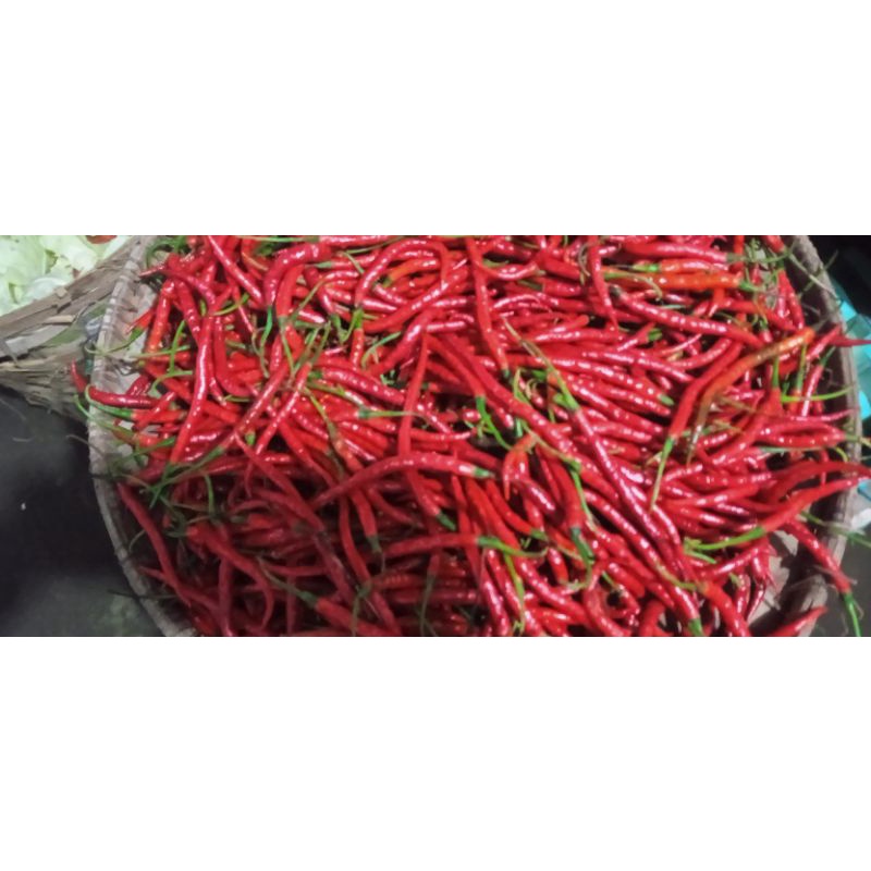 

sayur segar