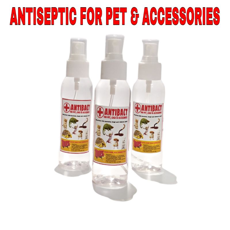 ANTIBACT Antiseptik antiseptic desinfektan kandang reptile hewan kura kura darat sulcata sulkata torto tortoise ular kadal pembersih antiseptik kandang reptile tortoise kura kura kucing anjing kelinci-2