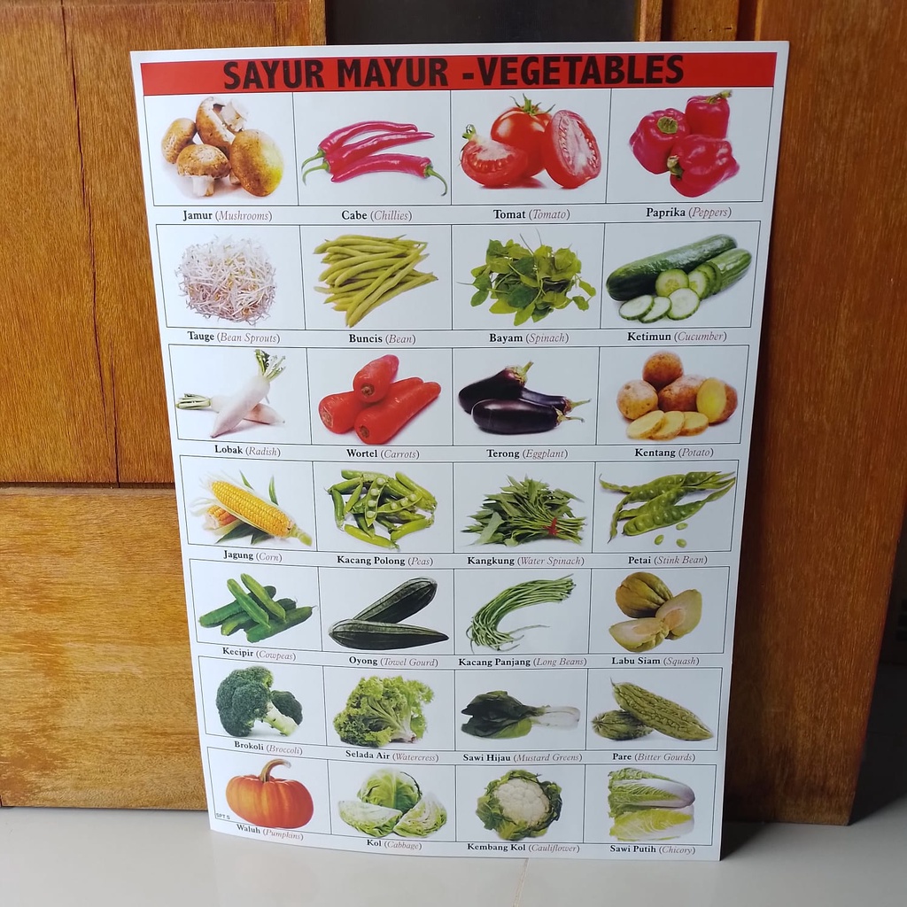 Jual Poster Edukasi Anak Vegetables Sayuran Warna Gambar Sayuran