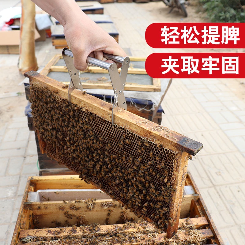 Capit Pencapit Capitan Frame Sarang Lebah Panen Madu Kotak Tawon Stup Alat Ternak Lebah Model Jepit