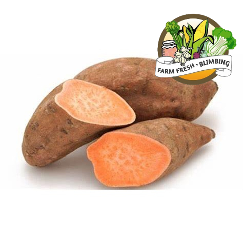 

ubi cilembu 1kg