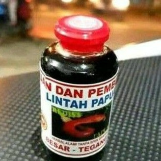 minyak daun pembungkus asli papua