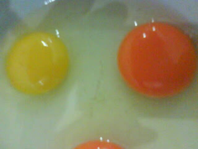 Capsantal CX 1 kg (Carophyll Red / Canthaxanthin 10%) pemerah kuning telur ayam dan bebek