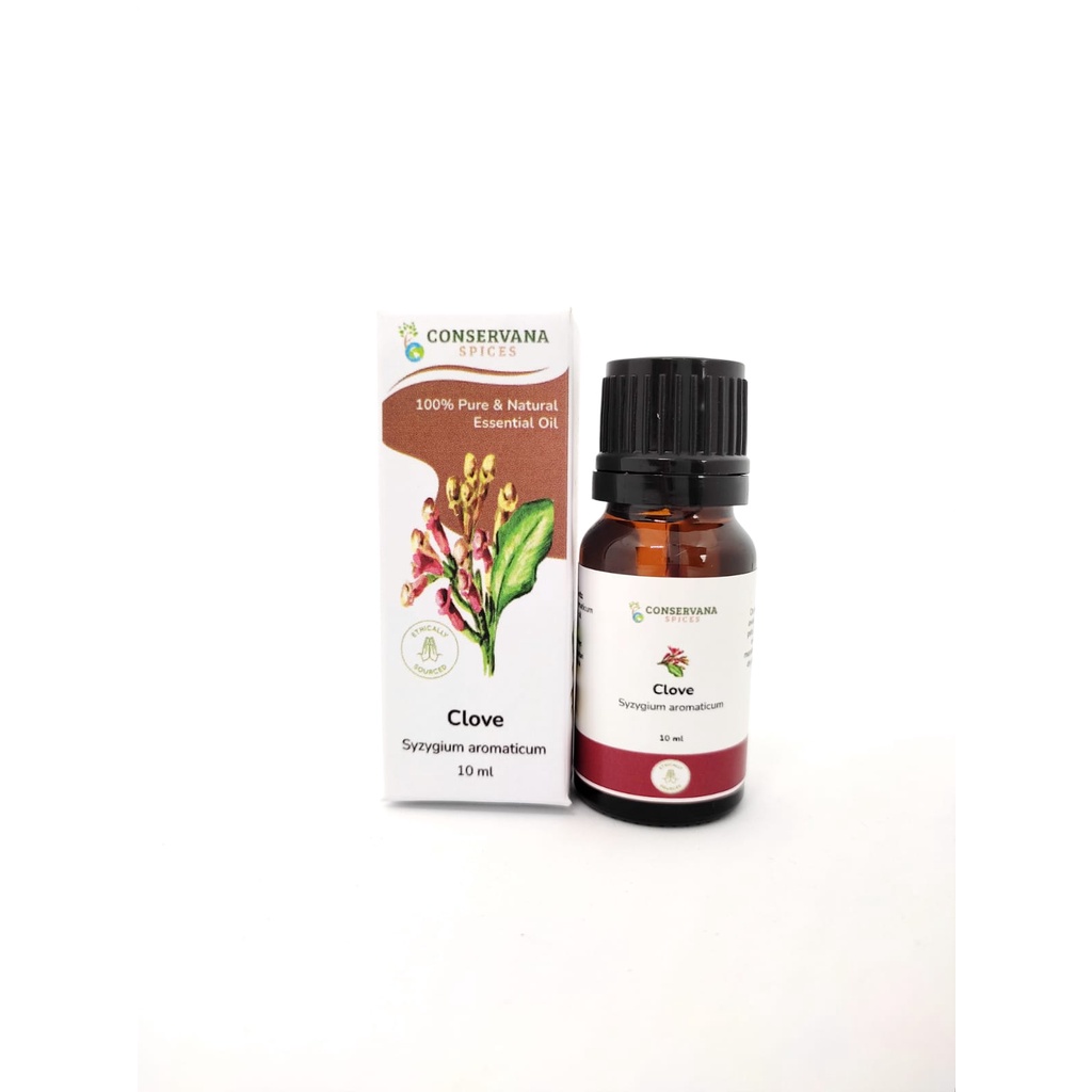 Minyak Atsiri Cengkeh | Clove Essential Oil