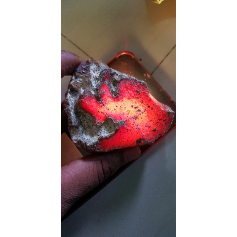 Bahan Raflesia Bengkulu