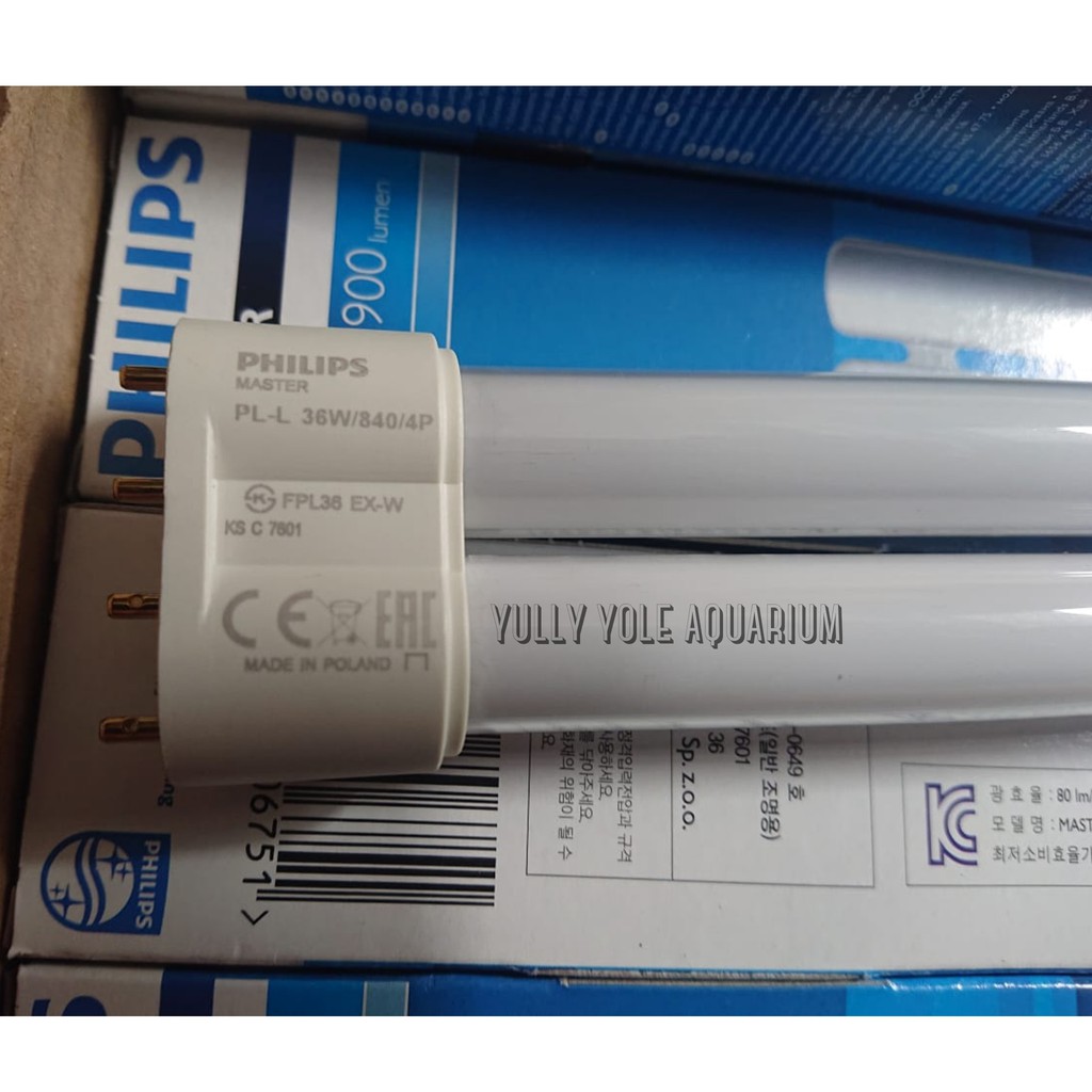 Lampu Tanning Arwana Phillips PLL 840 merk Polland WARM WHITE