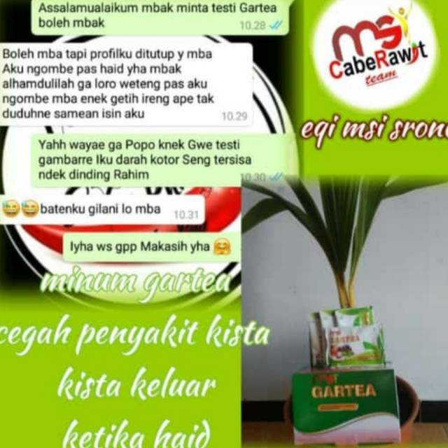 

GARTEA MSI ORI 1 PAKET