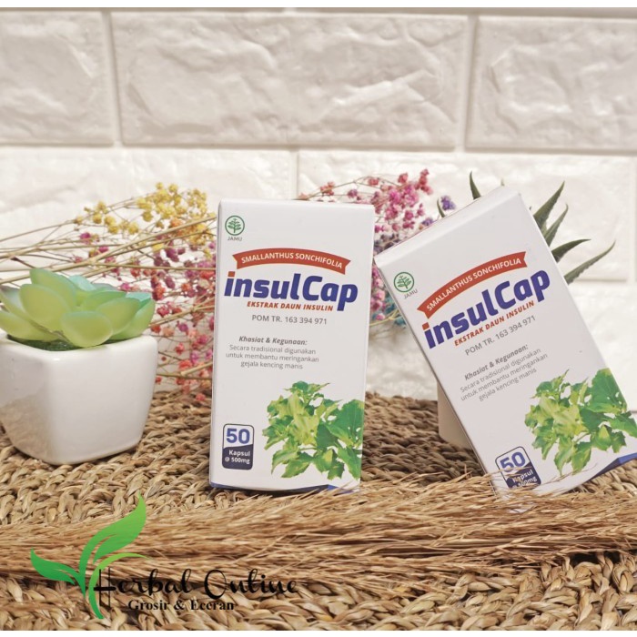 

Insulcap Obat Herbal Untuk Penderita Kencing Manis 50 Kapsul Extract Daun Insulin BPOM