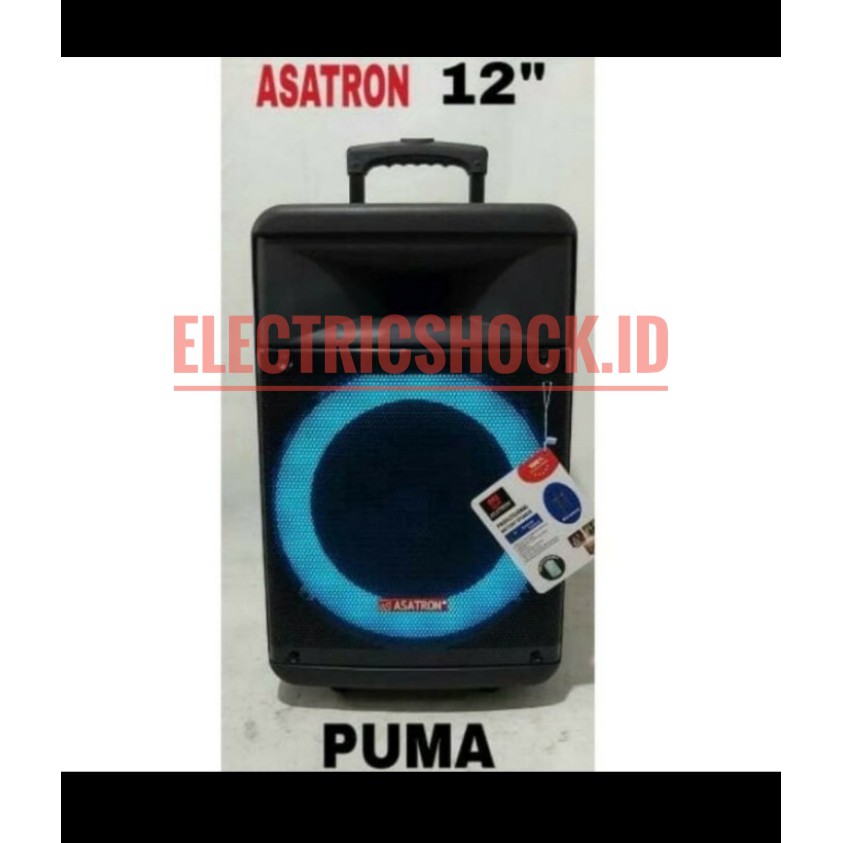 Speaker Portable Meeting Wireless Asatron Puma 12inch