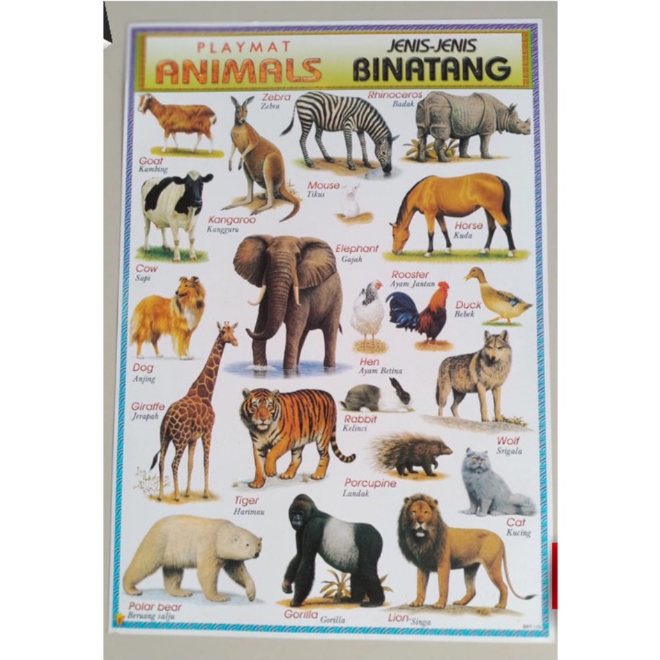 

Poster Jenis-jenis Binatang