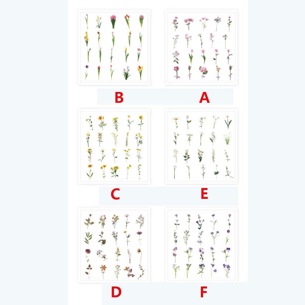 Lanfy Stiker Dekoratif Kreatif Album Indah Decal Flower Label Diary Floral Dekorasi Kertas