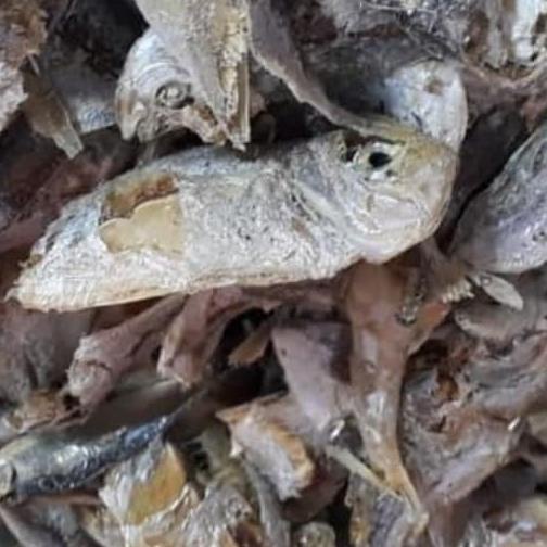 

[COD] Ikan Campur [COD]