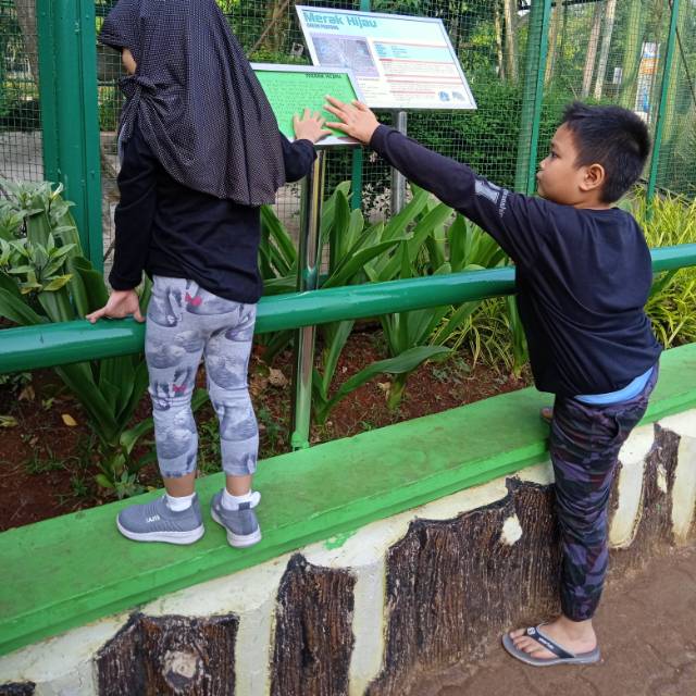 ana.nahrawi