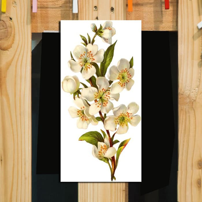 Fasahaya Hiasan Dinding Poster Kayu Leaf Dekorasi Rumah Fasahaya Hiasan Dinding Poster Kayu Leaf Dekorasi Rumah