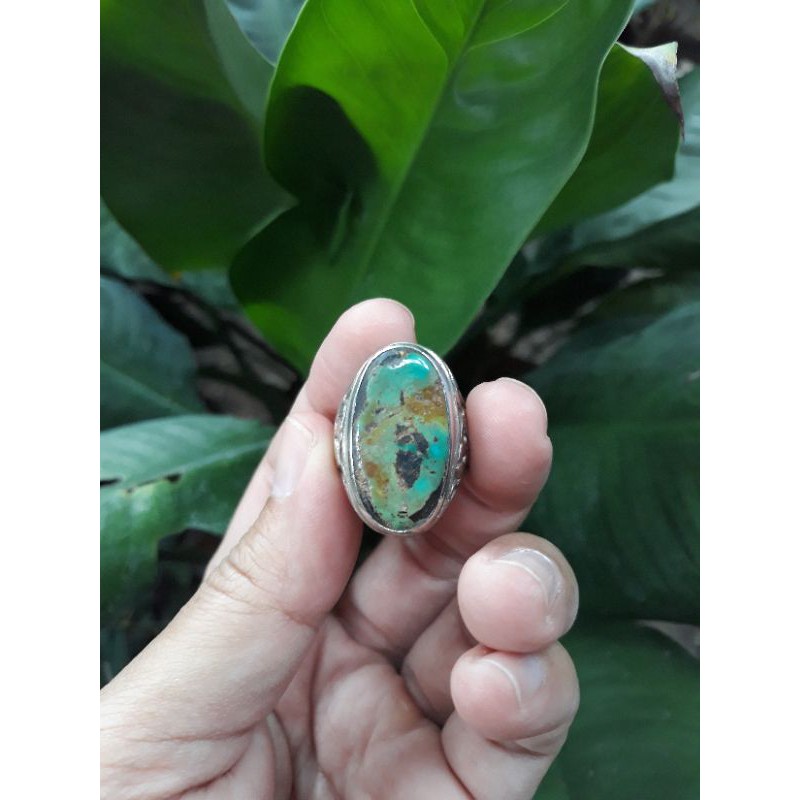 Pirus Persia Kuno 03