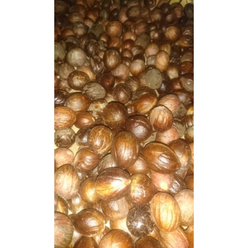 

Biji pala kering isi 12pcs