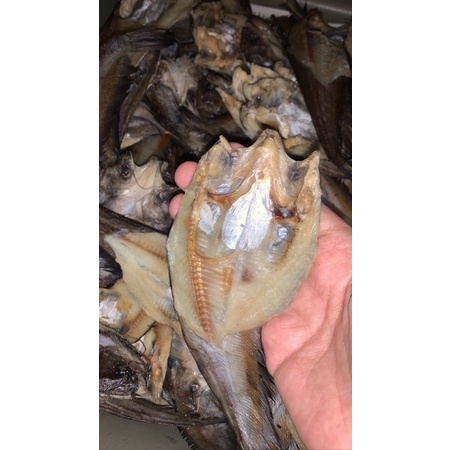 READY STOK IKAN ASIN LAIS