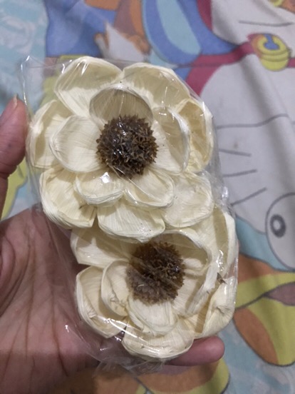 BUNGA KLOBOT JAGUNG KERING MEDIUM 7 CM UNTUK HIASAN MAHAR BUNGA KLOBOT JAGUNG KERING MEDIUM 7 CM UNTUK HIASAN MAHAR