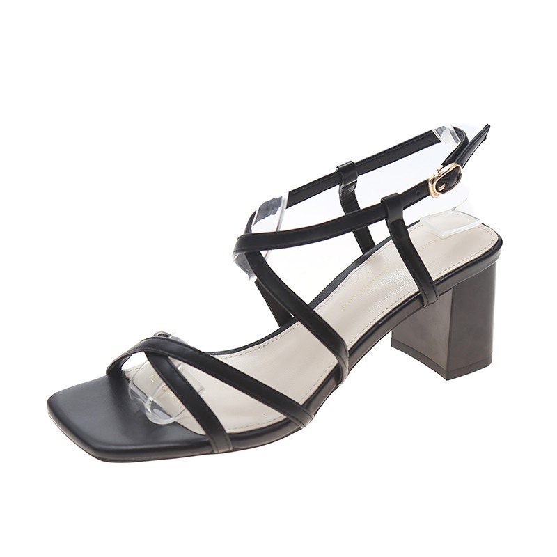 JA 06 HAK TAHU AURORA