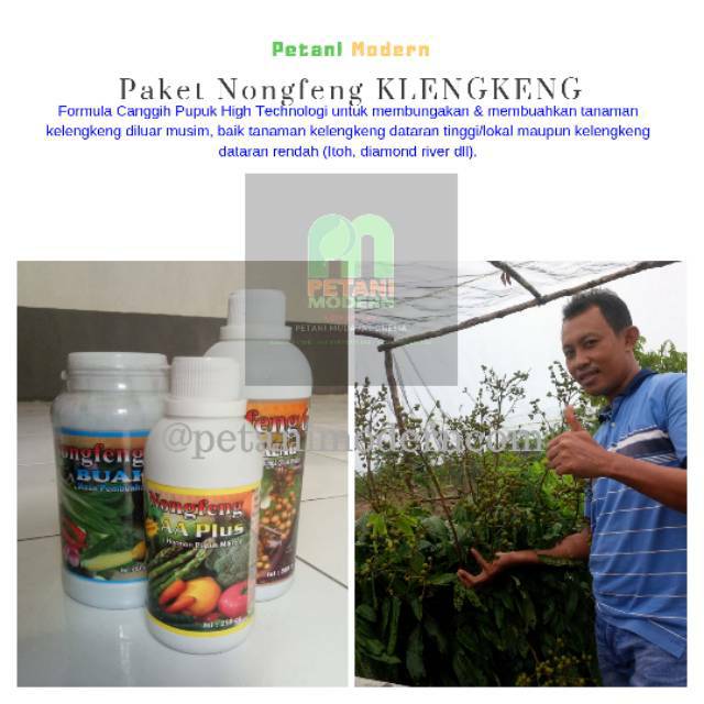 Paket Pupuk Nongfeng Klengkeng Hormon Buah Klengkeng