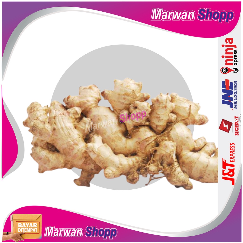 

Jahe gajah kemasan 500 gram MARWAN SHOPP