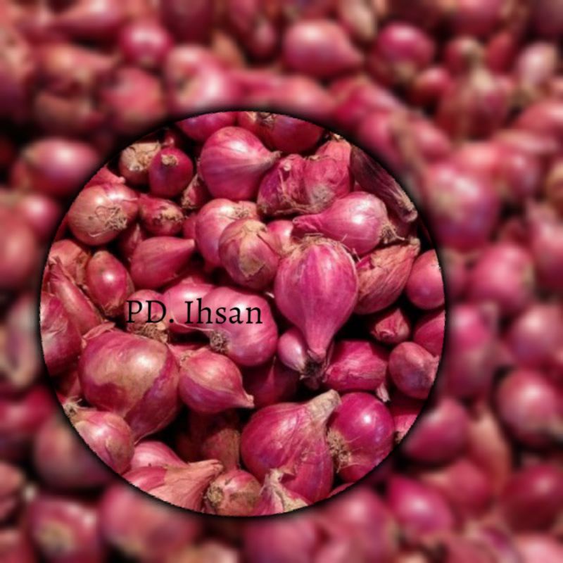 

bawang merah brebes super